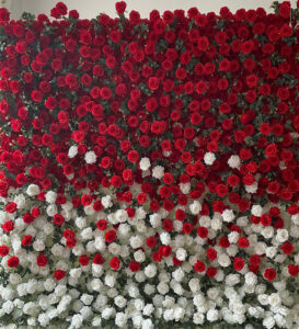 red and white flower wall
